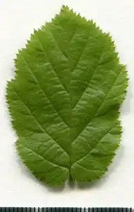 36720