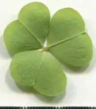 37392
