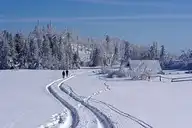 37448