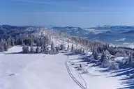 37454