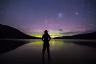 3831