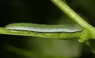 3834
