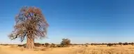 4025