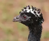 4040