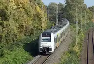 41172