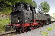 41558