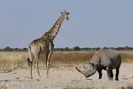4190
