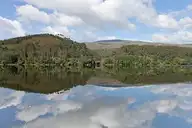 41917