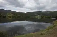 41918