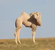 42130