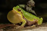 4236