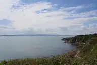 42371