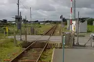 43033