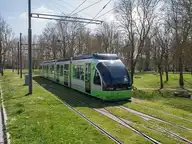 43061