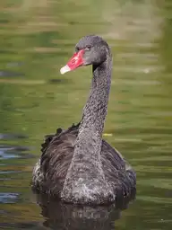 4416