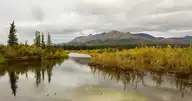 44958