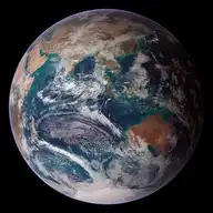 4501