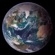 4502