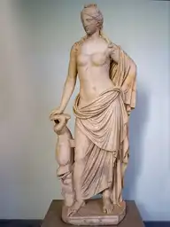 45119