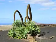 45239
