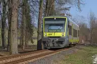 45366