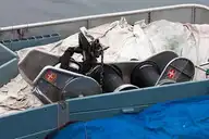45556