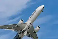 45833
