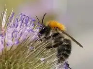 4584