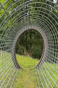 45968