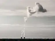 46242