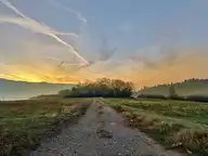 46329