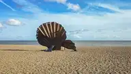 46853