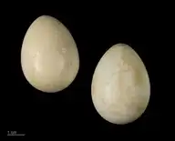 46872