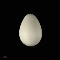 47414