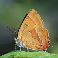 4754
