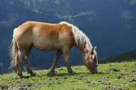 47656