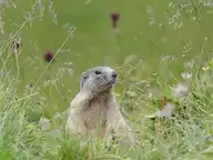 47880