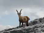47883