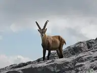 47883