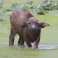 4795