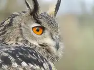 4796
