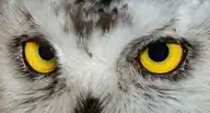 4798