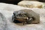 4830
