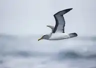 4846