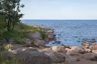48542