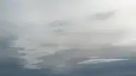 48655
