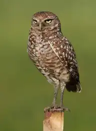 4874