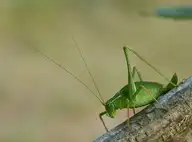 4880