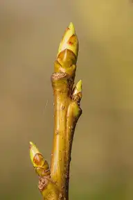 49060