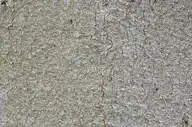 49299